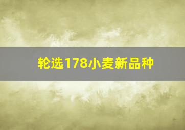 轮选178小麦新品种