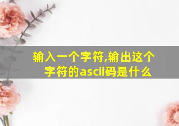 输入一个字符,输出这个字符的ascii码是什么