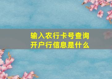 输入农行卡号查询开户行信息是什么