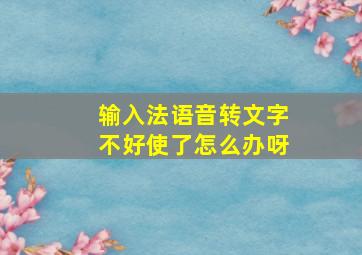 输入法语音转文字不好使了怎么办呀