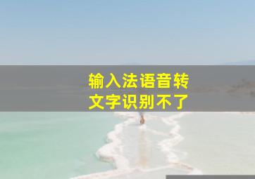 输入法语音转文字识别不了