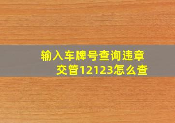 输入车牌号查询违章交管12123怎么查