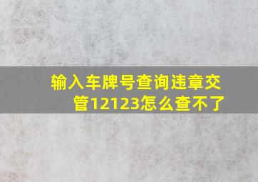 输入车牌号查询违章交管12123怎么查不了