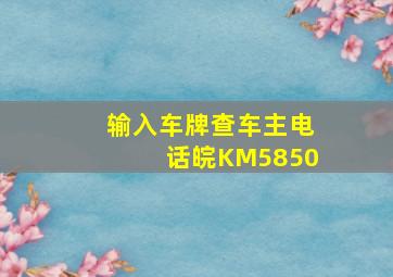 输入车牌查车主电话皖KM5850