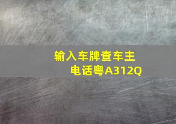 输入车牌查车主电话粤A312Q