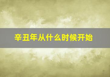 辛丑年从什么时候开始