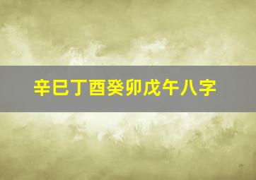 辛巳丁酉癸卯戊午八字