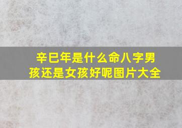 辛巳年是什么命八字男孩还是女孩好呢图片大全