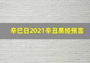 辛巳日2021辛丑易经预言