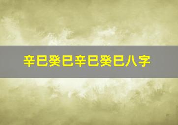 辛巳癸巳辛巳癸巳八字