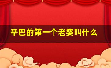 辛巴的第一个老婆叫什么