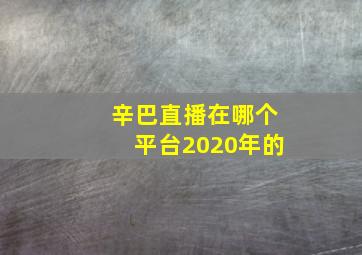 辛巴直播在哪个平台2020年的