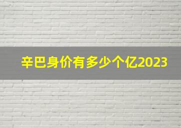 辛巴身价有多少个亿2023