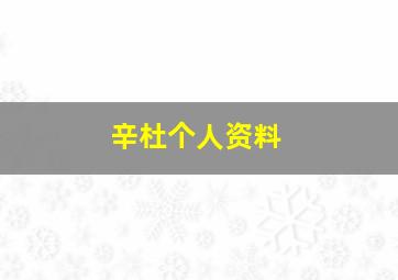 辛杜个人资料