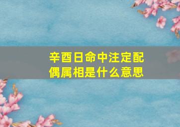 辛酉日命中注定配偶属相是什么意思