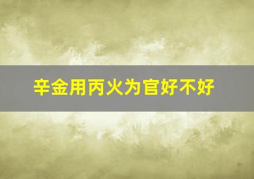 辛金用丙火为官好不好