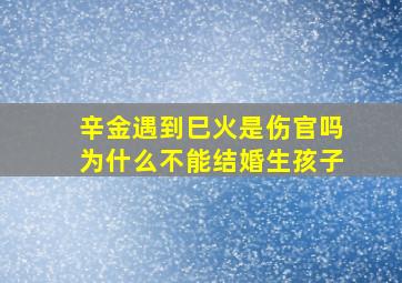 辛金遇到巳火是伤官吗为什么不能结婚生孩子