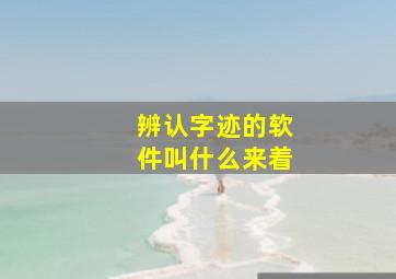 辨认字迹的软件叫什么来着