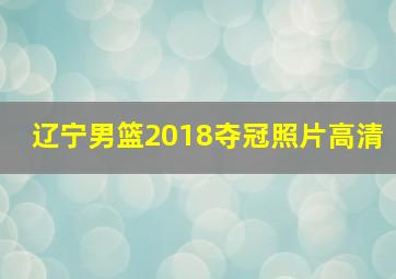 辽宁男篮2018夺冠照片高清