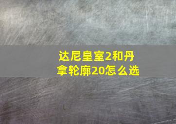 达尼皇室2和丹拿轮廓20怎么选