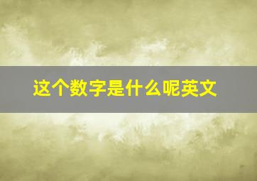 这个数字是什么呢英文