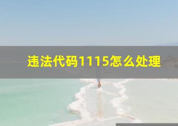 违法代码1115怎么处理