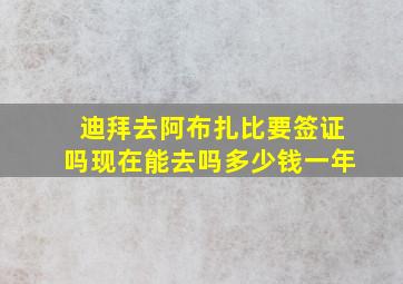 迪拜去阿布扎比要签证吗现在能去吗多少钱一年