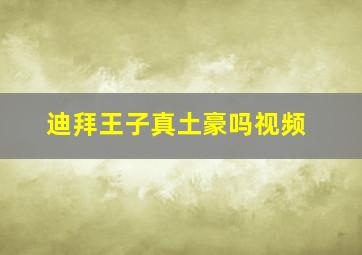 迪拜王子真土豪吗视频