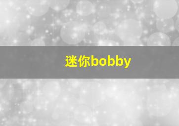 迷你bobby