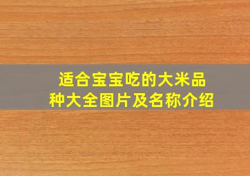 适合宝宝吃的大米品种大全图片及名称介绍