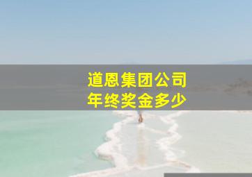 道恩集团公司年终奖金多少