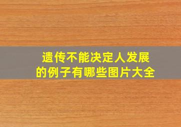 遗传不能决定人发展的例子有哪些图片大全