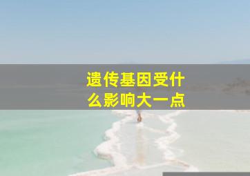 遗传基因受什么影响大一点