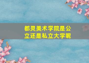 都灵美术学院是公立还是私立大学呢