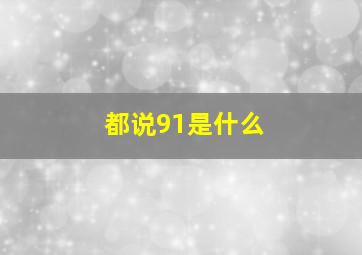 都说91是什么