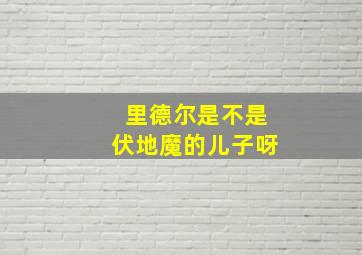 里德尔是不是伏地魔的儿子呀