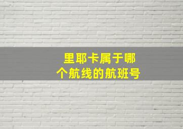 里耶卡属于哪个航线的航班号