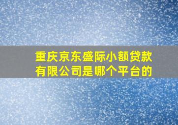 重庆京东盛际小额贷款有限公司是哪个平台的