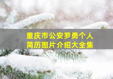 重庆市公安罗勇个人简历图片介绍大全集