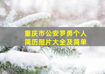 重庆市公安罗勇个人简历图片大全及简单