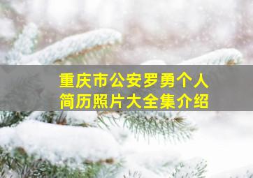 重庆市公安罗勇个人简历照片大全集介绍