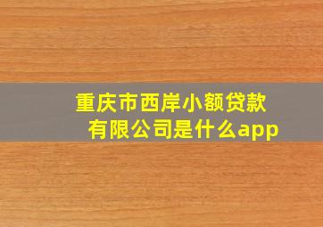 重庆市西岸小额贷款有限公司是什么app