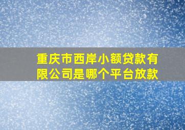 重庆市西岸小额贷款有限公司是哪个平台放款