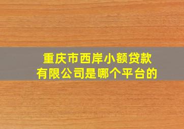 重庆市西岸小额贷款有限公司是哪个平台的