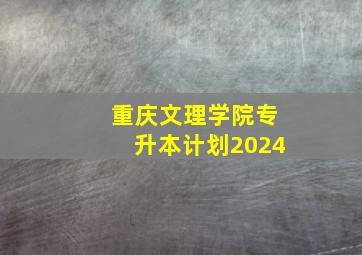 重庆文理学院专升本计划2024