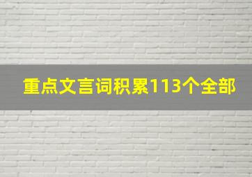 重点文言词积累113个全部