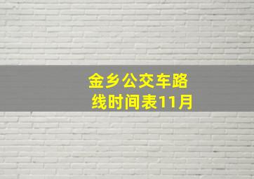 金乡公交车路线时间表11月