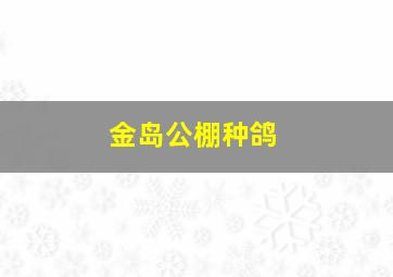 金岛公棚种鸽