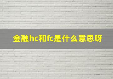 金融hc和fc是什么意思呀