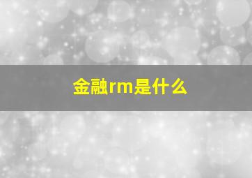 金融rm是什么